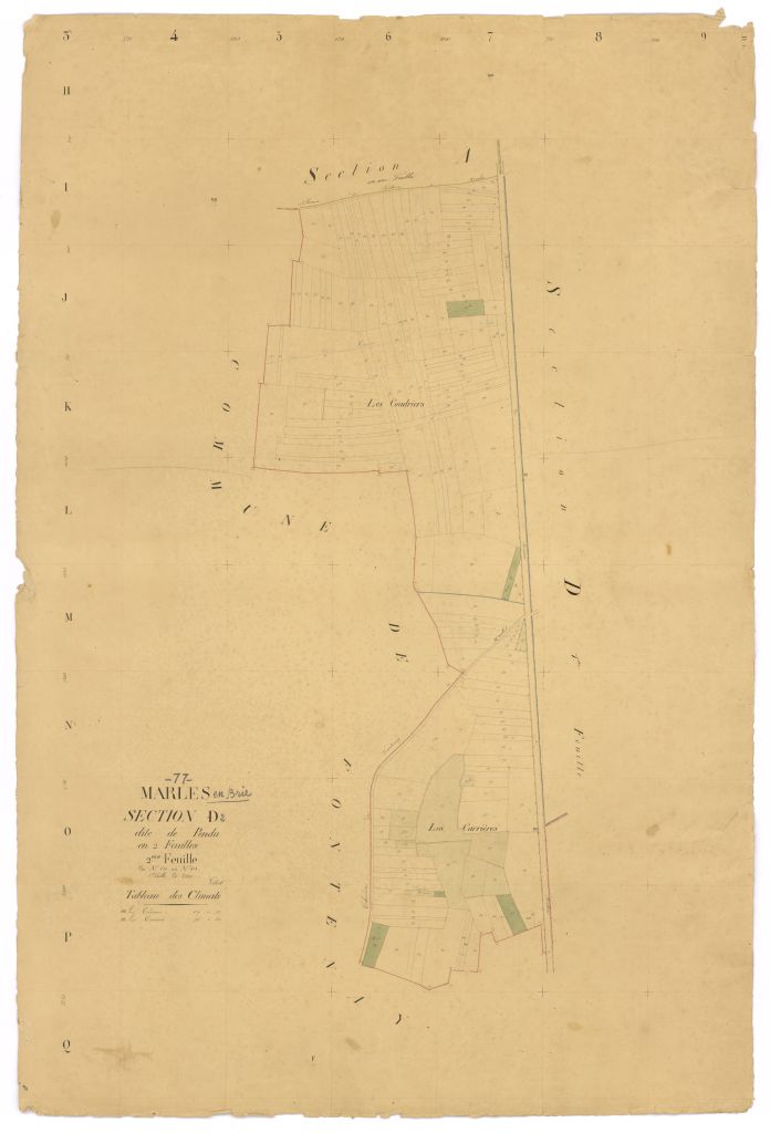 Section D2