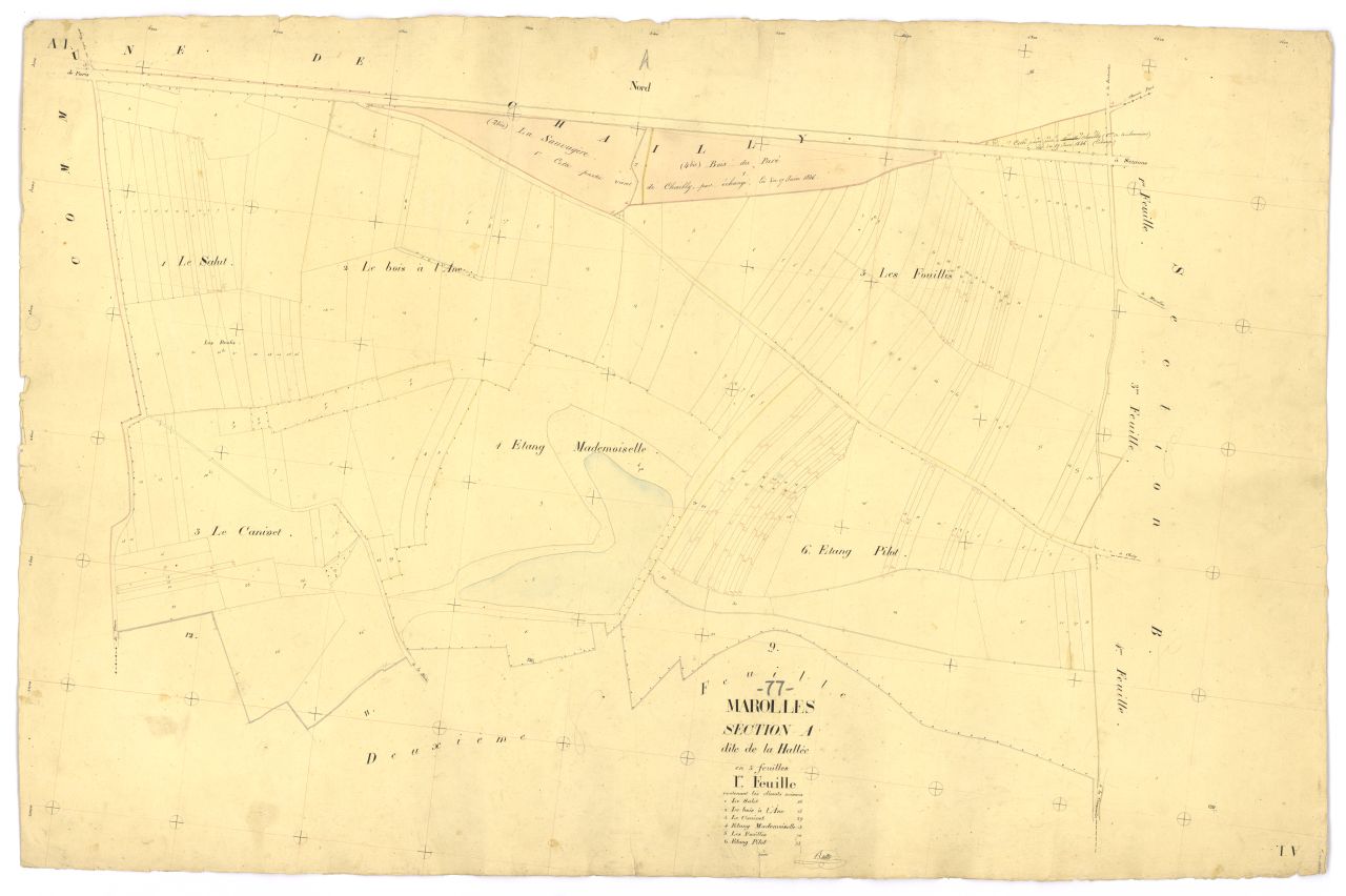 Section A1