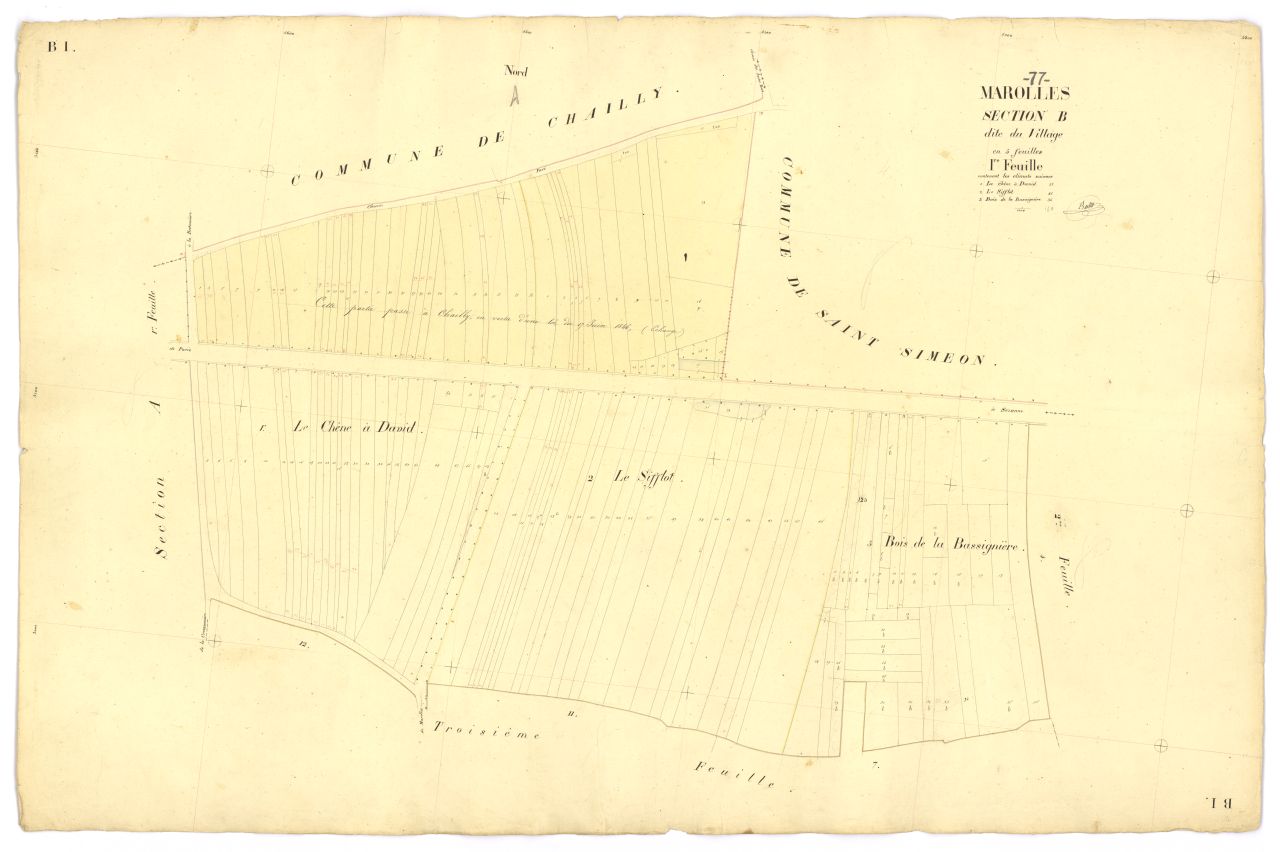 Section B1