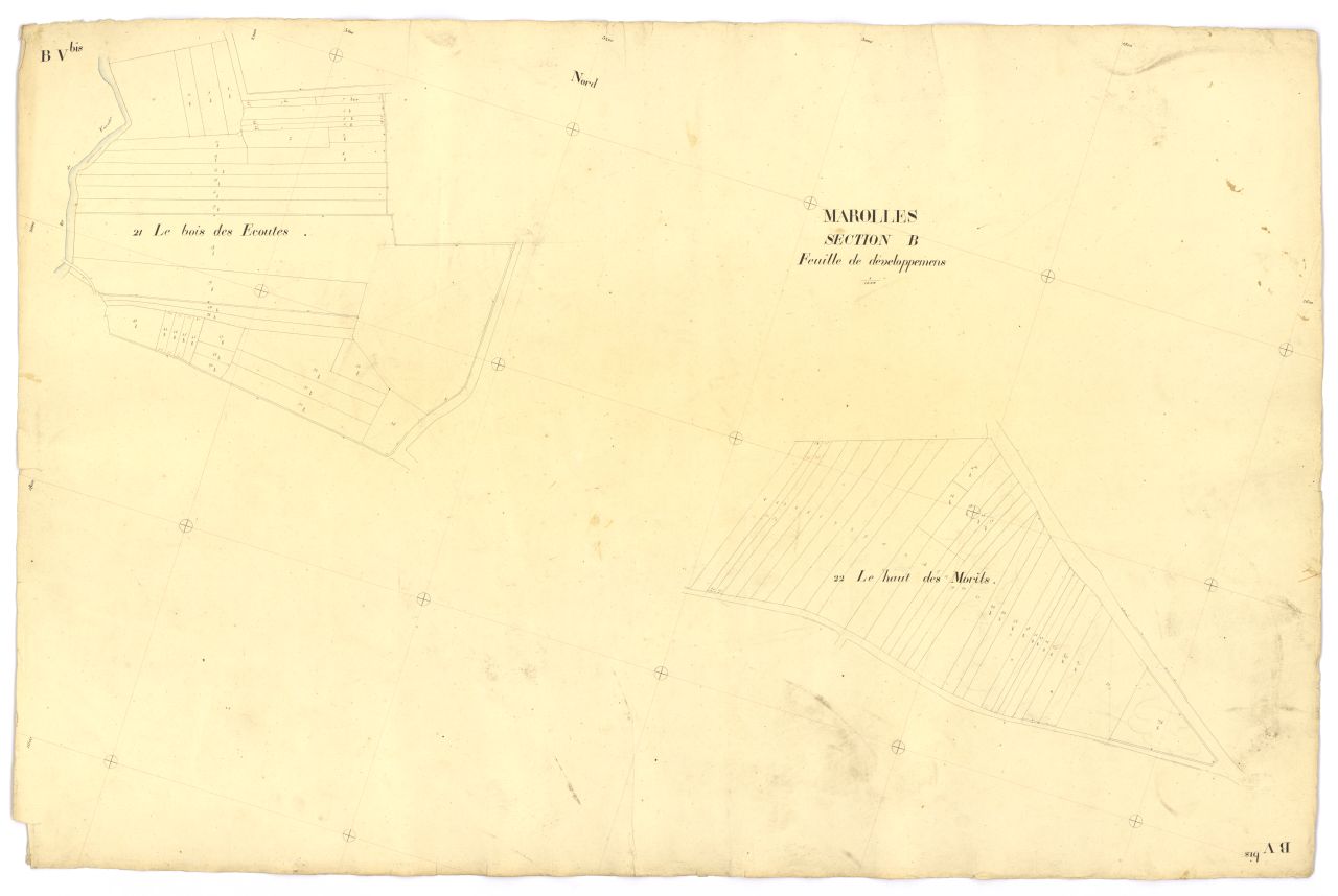 Section B5 (2f)