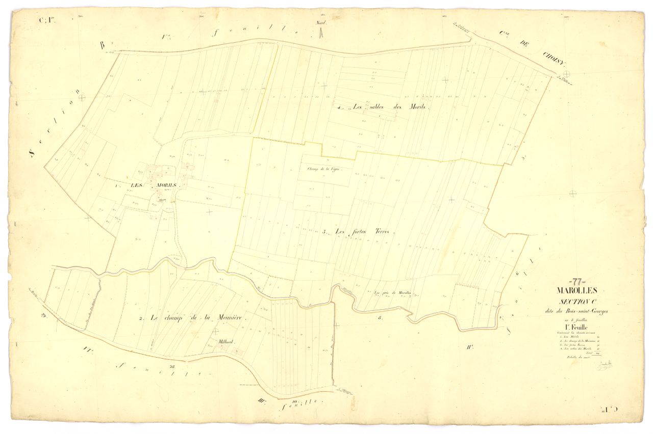 Section C1