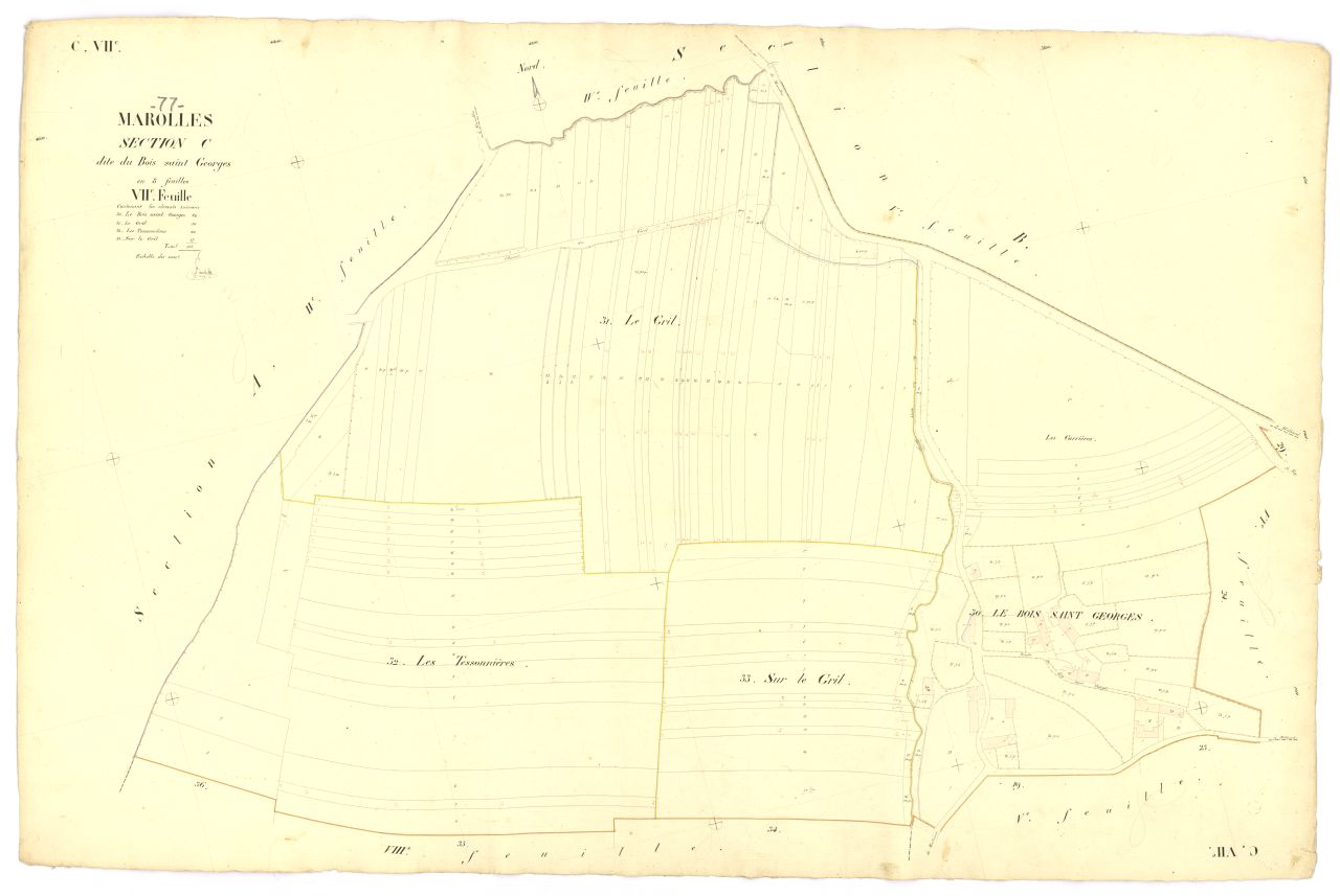 Section C7