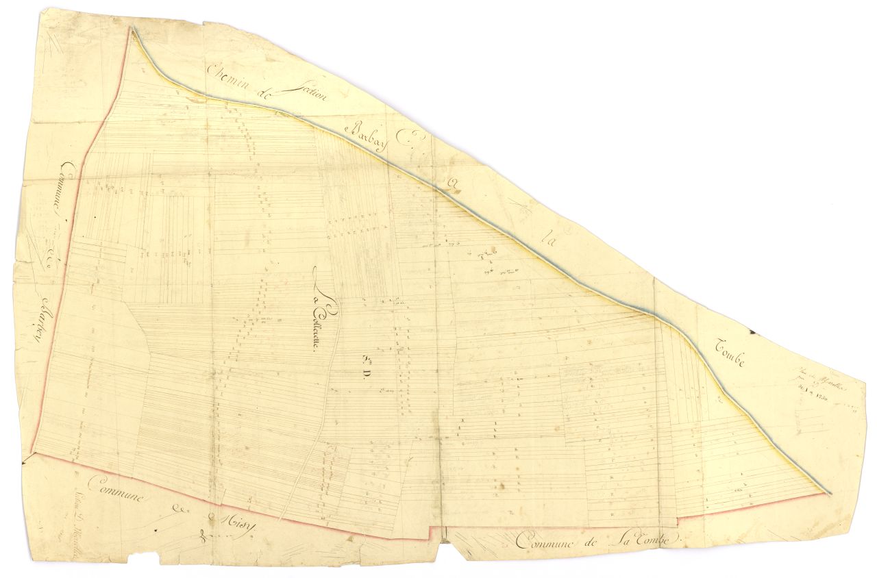 minute, section D
