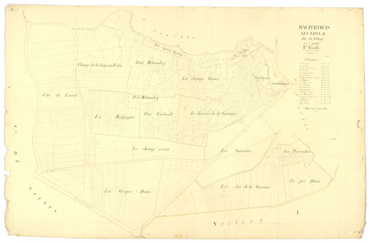 Section B1