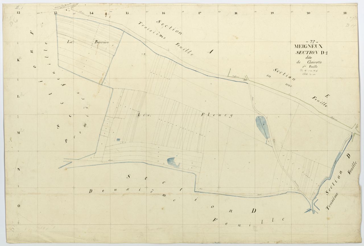 Section D1