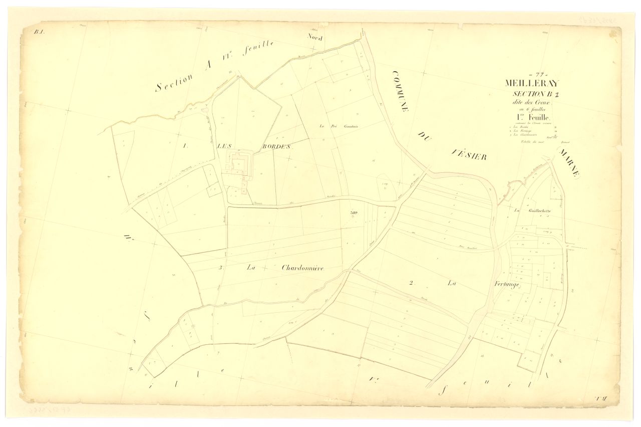 Section B1