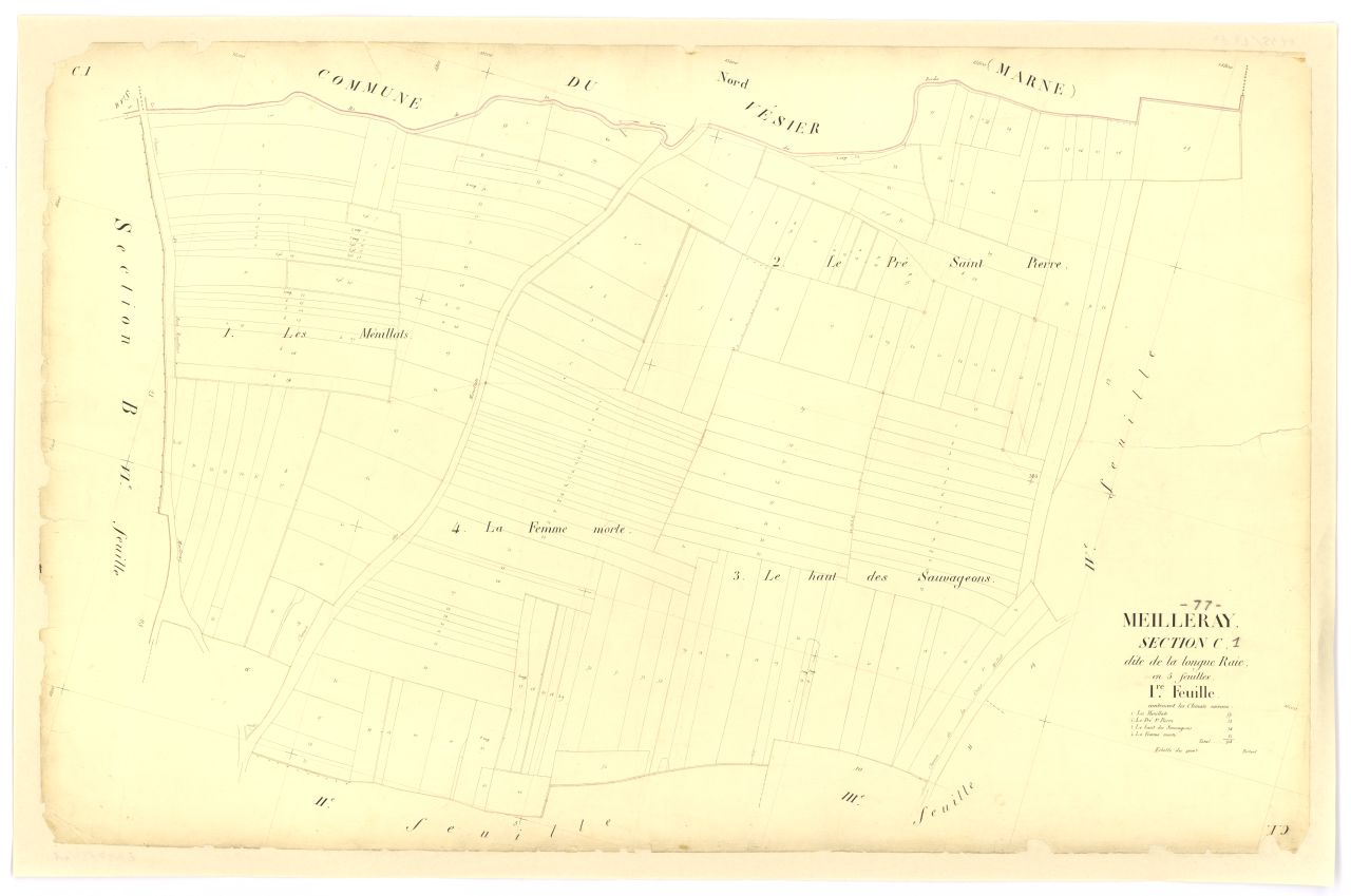 Section C1