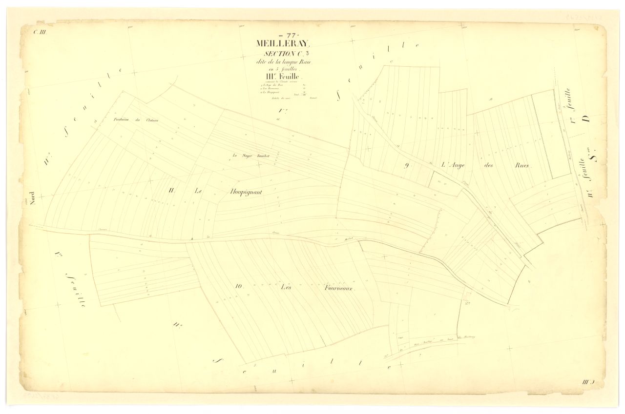 Section C3