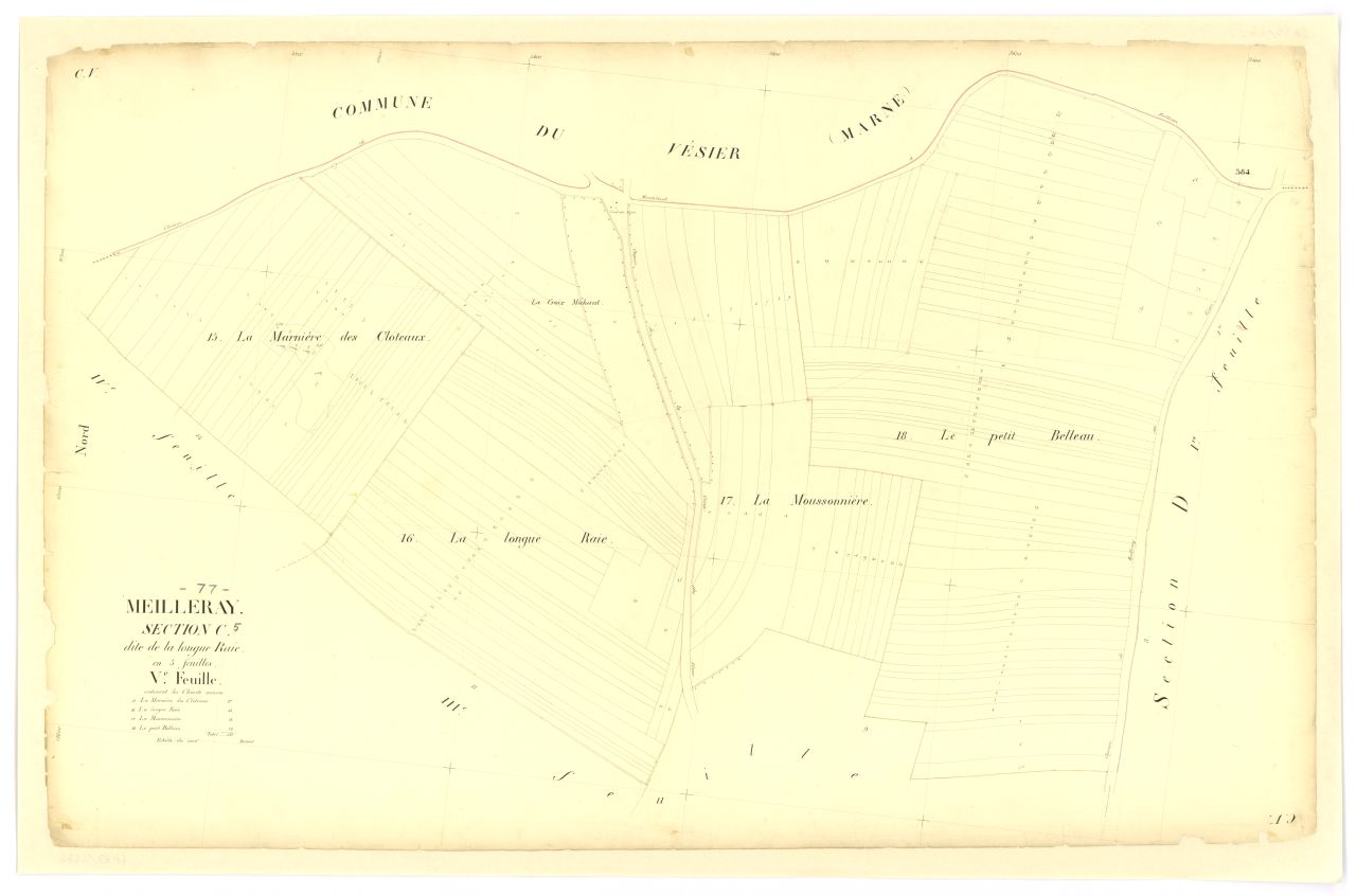Section C5