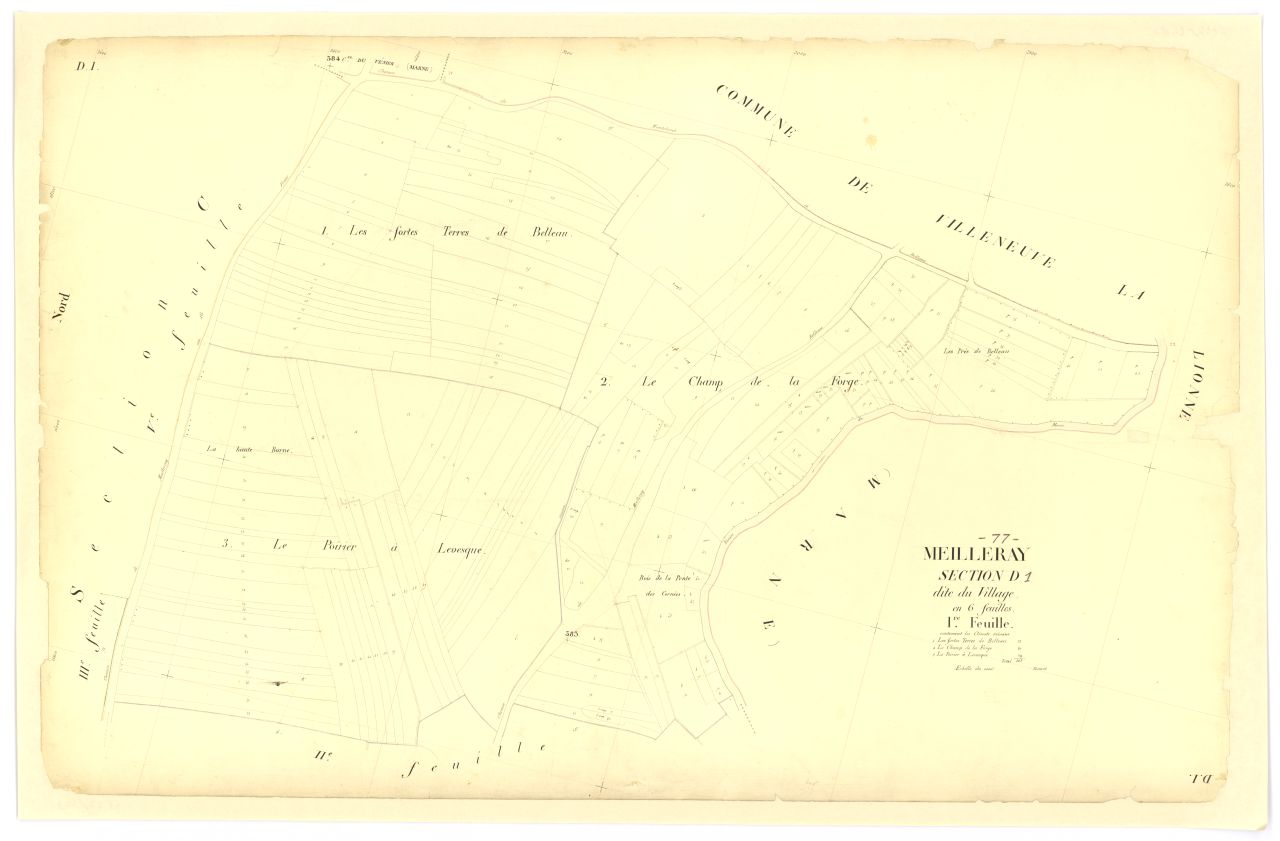 Section D1