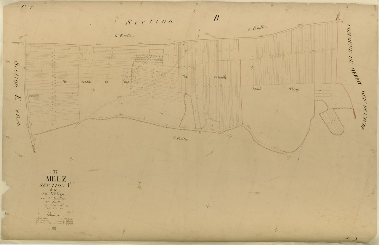 Section C1