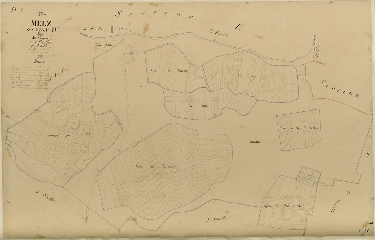 Section D1