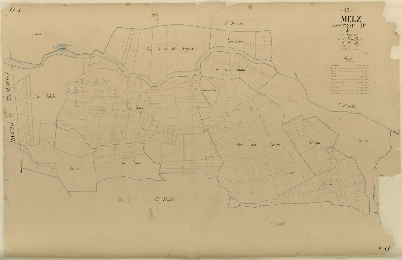 Section D4