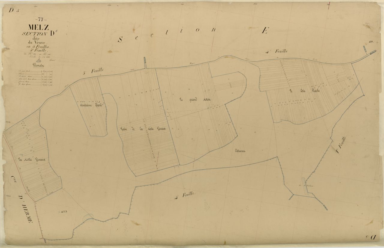 Section D5