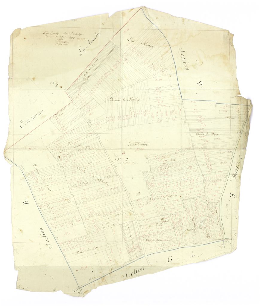 minute, section C