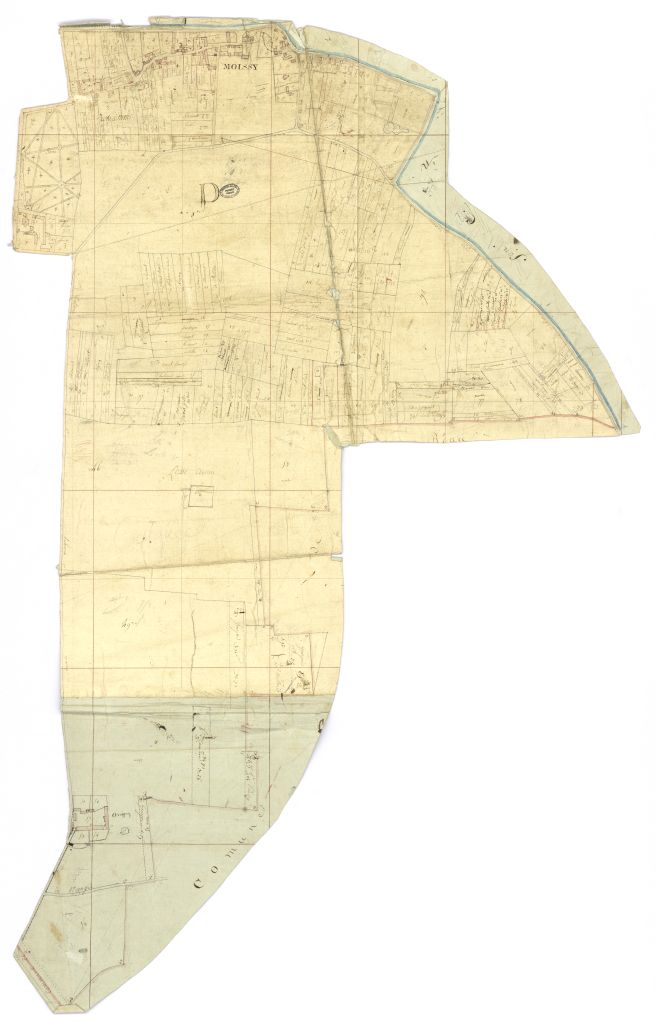 minute, section D