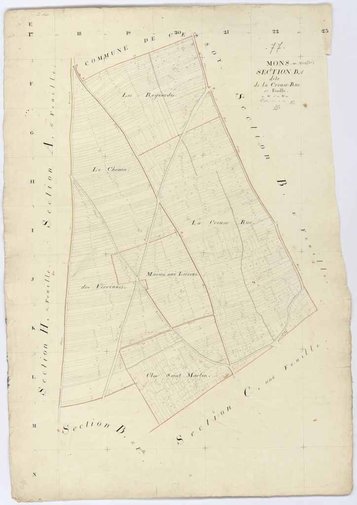 Section B1