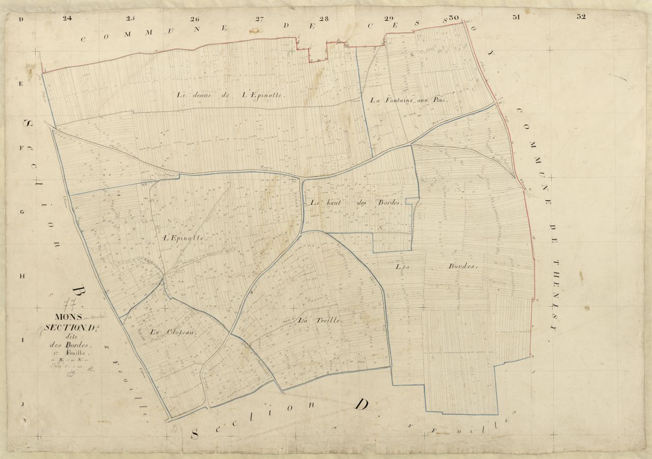Section D1