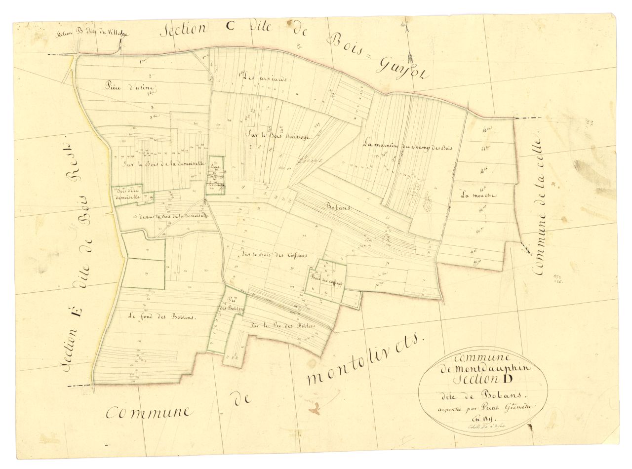 minute, section D