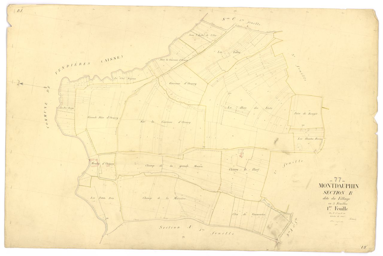 Section B1