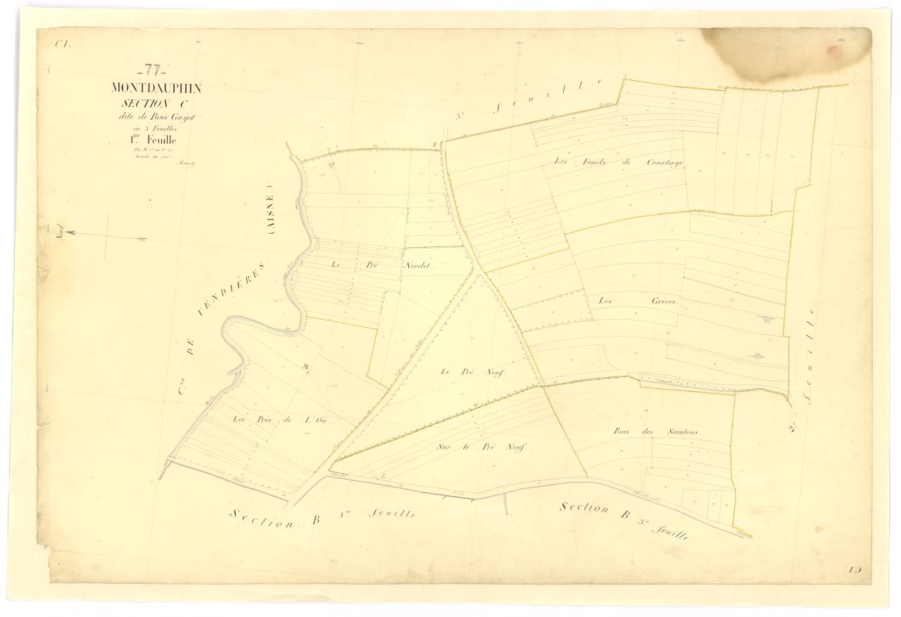 Section C1