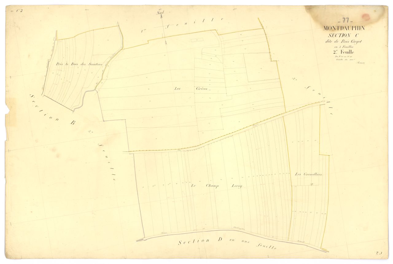 Section C2
