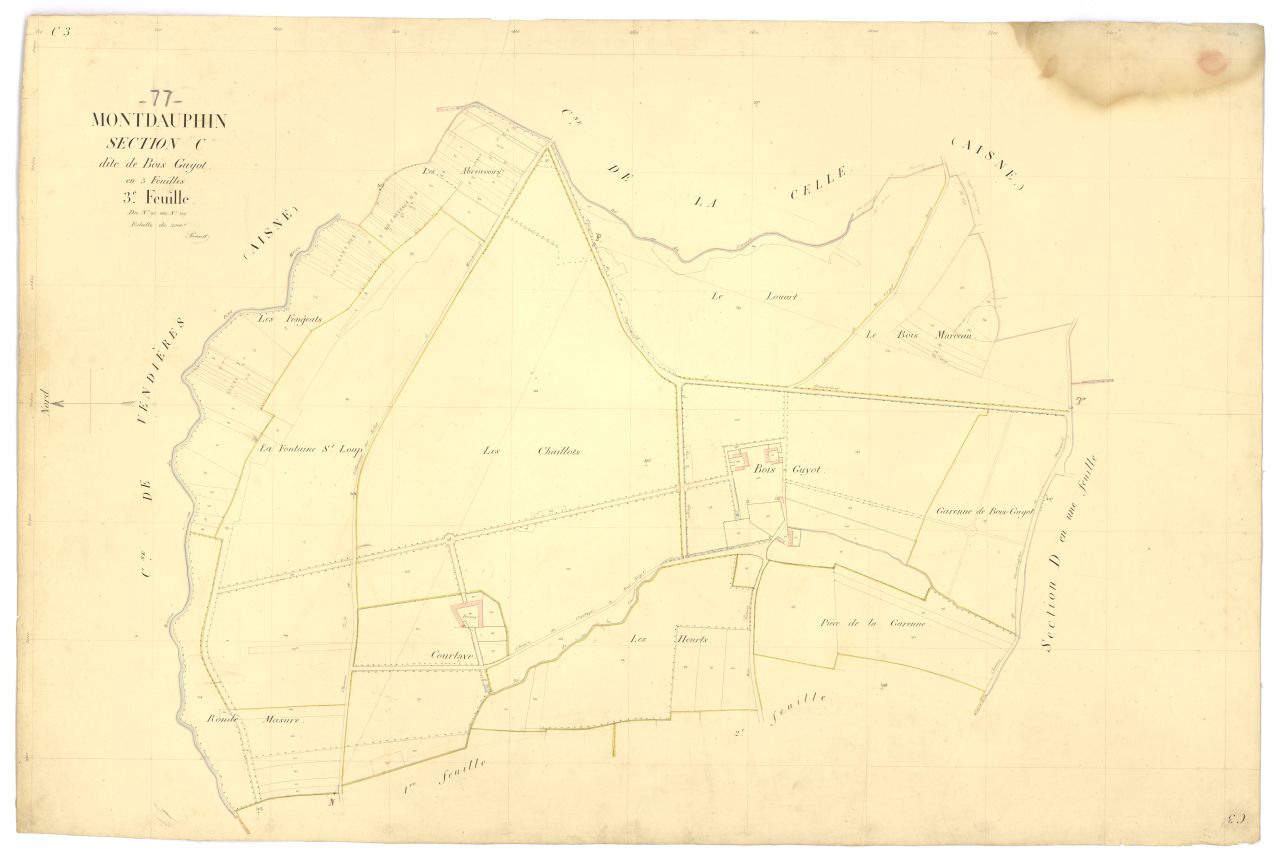 Section C3