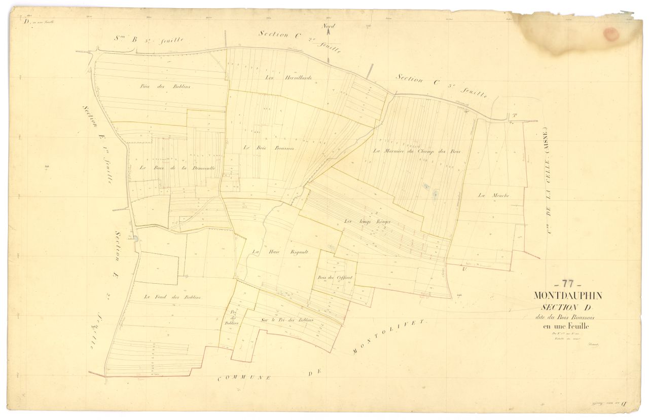 Section D