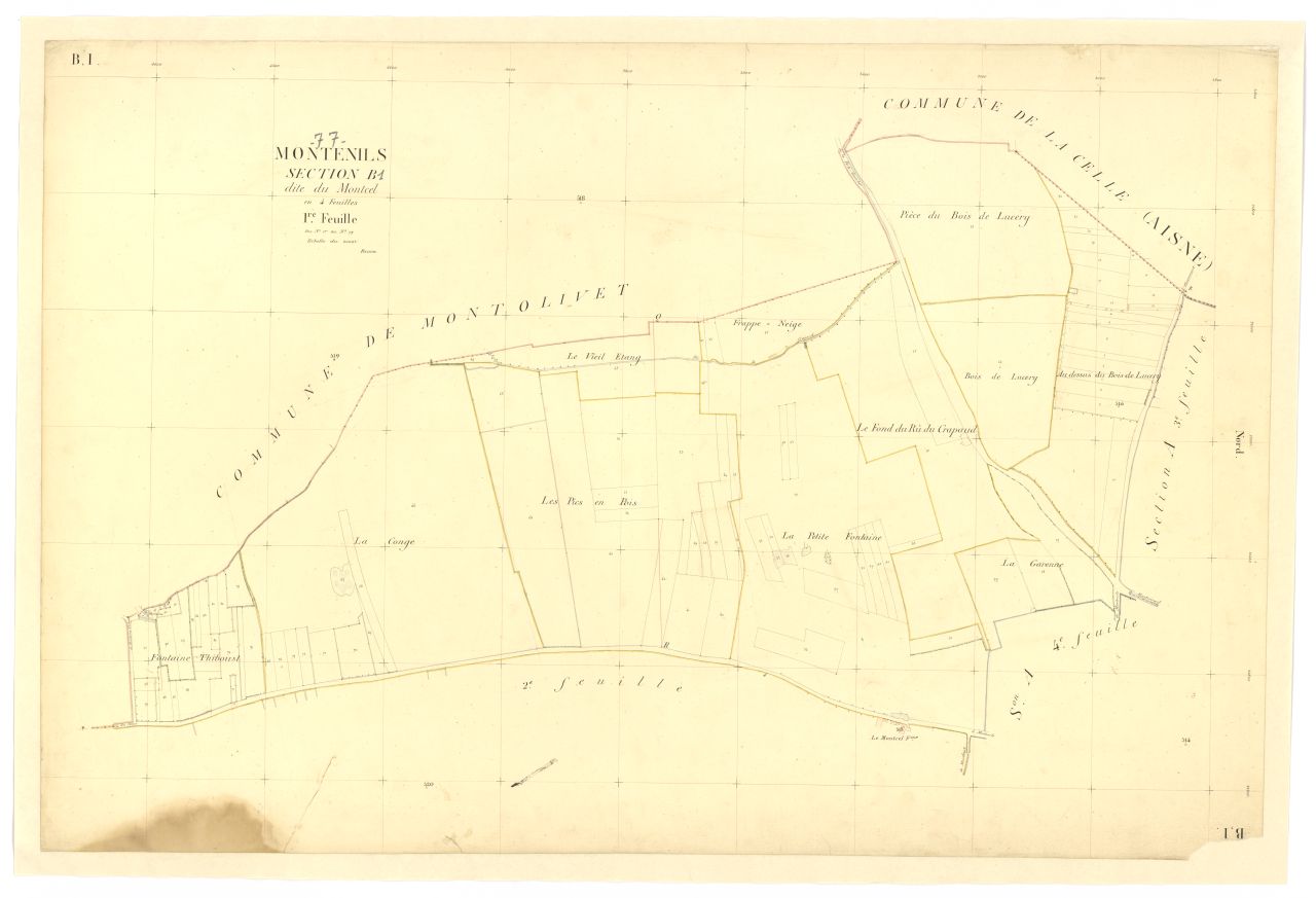 Section B1