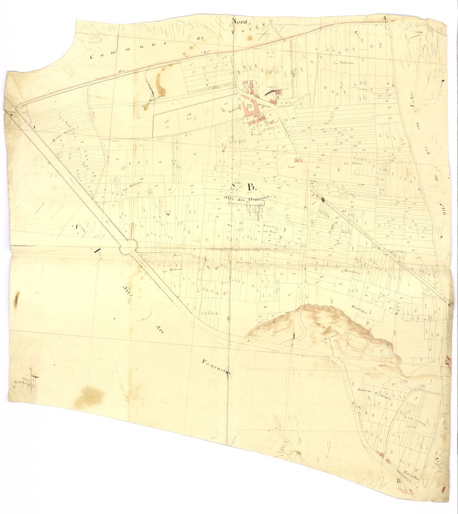 minute, section B