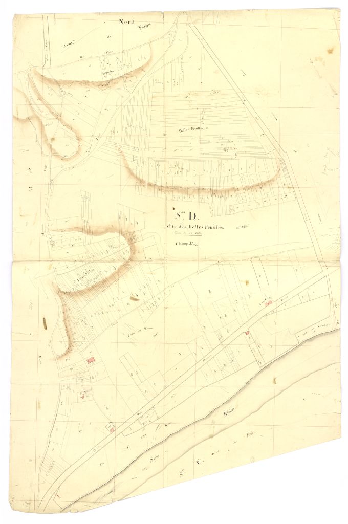 minute, section D