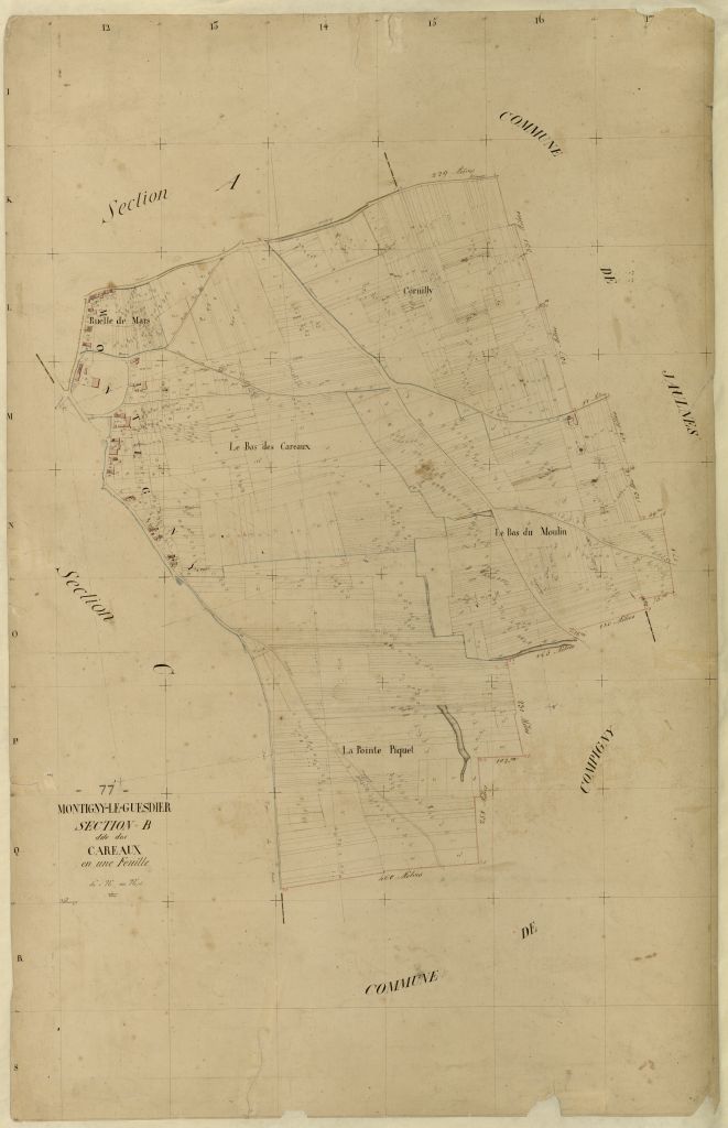 Section B1