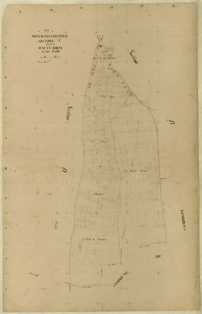 Section C1