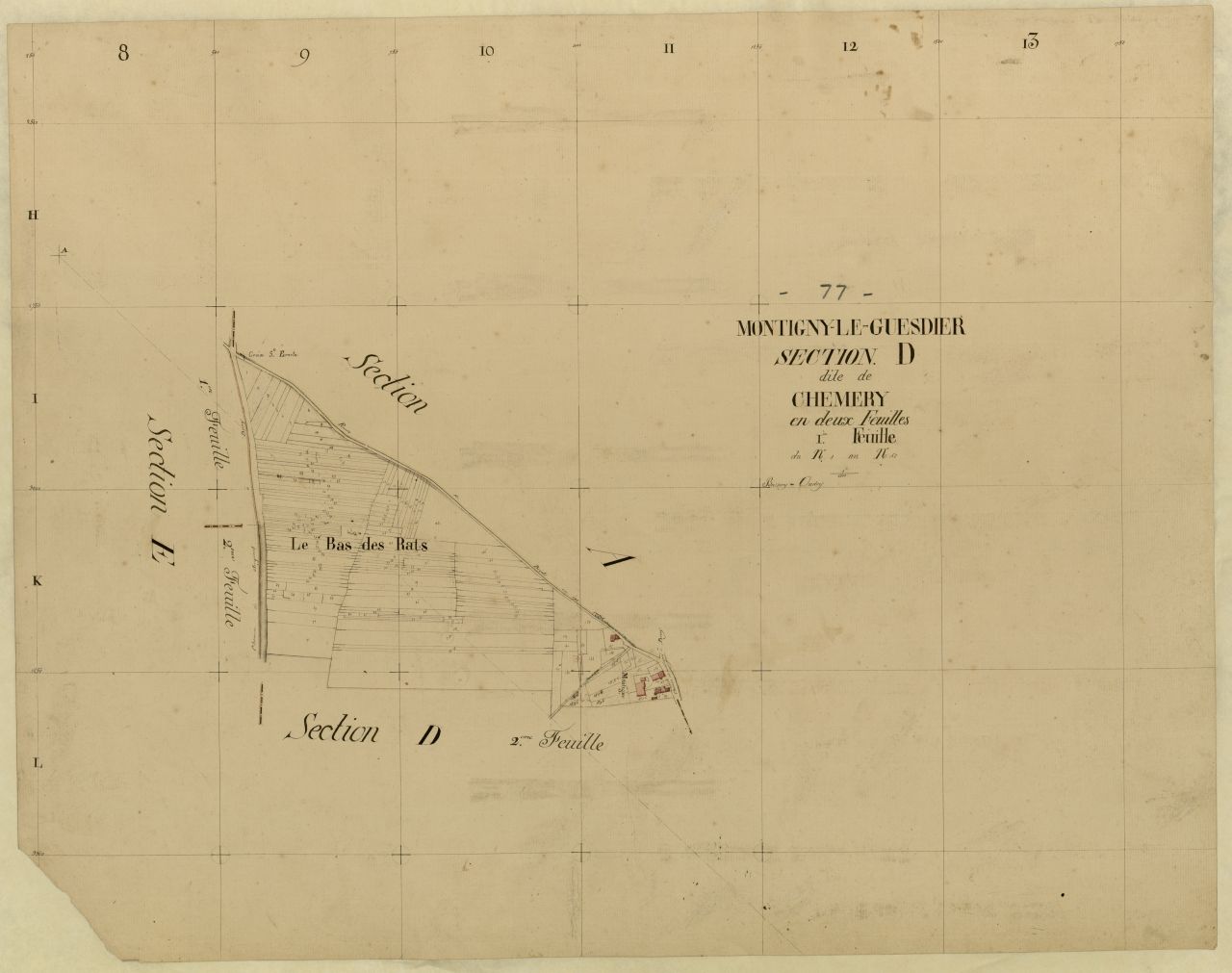 Section D1