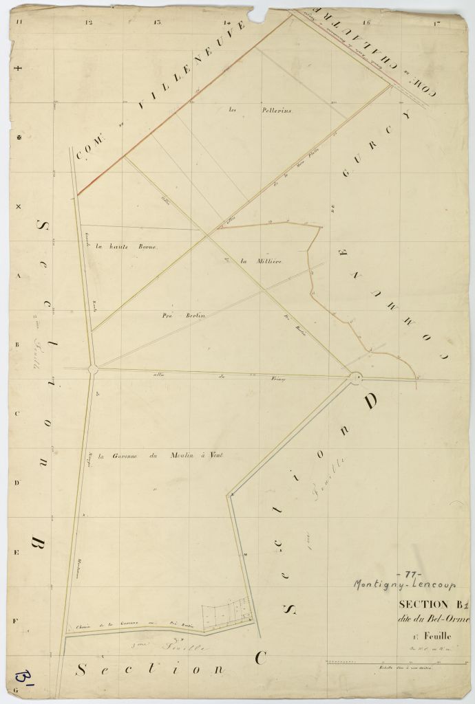 Section B1