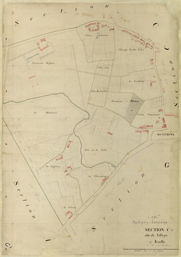 Section C1