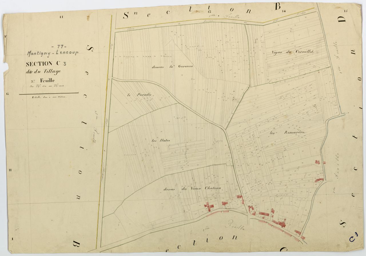 Section C3