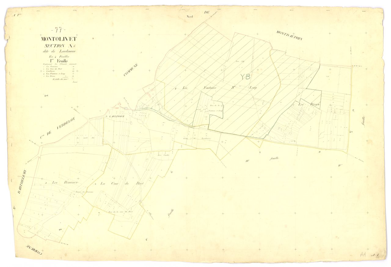 Section A1