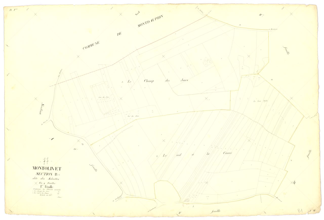 Section B1