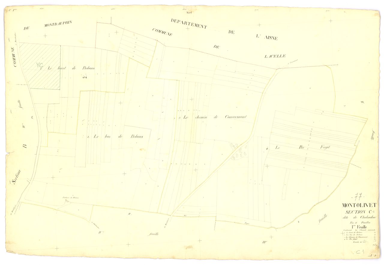 Section C1