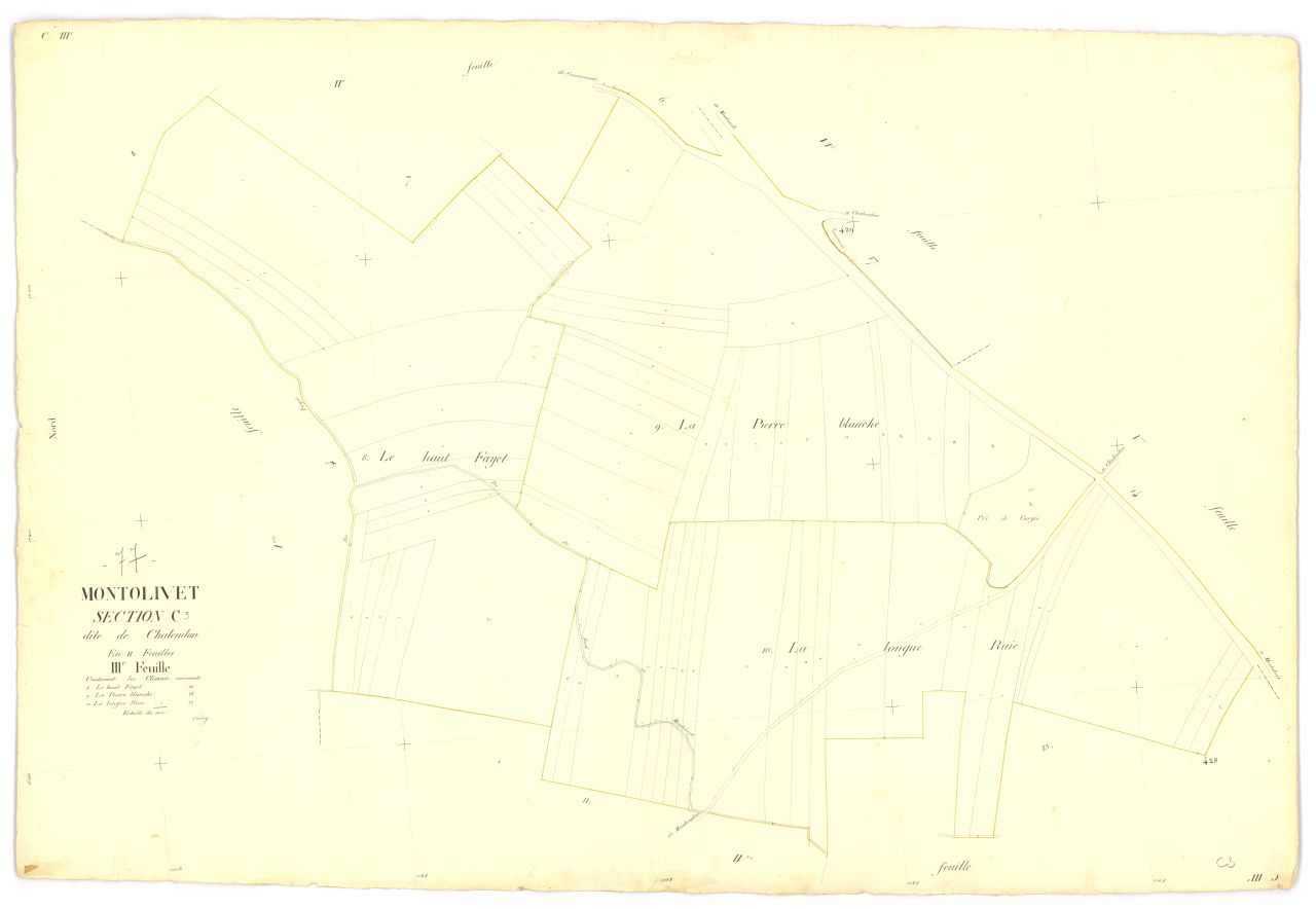 Section C3