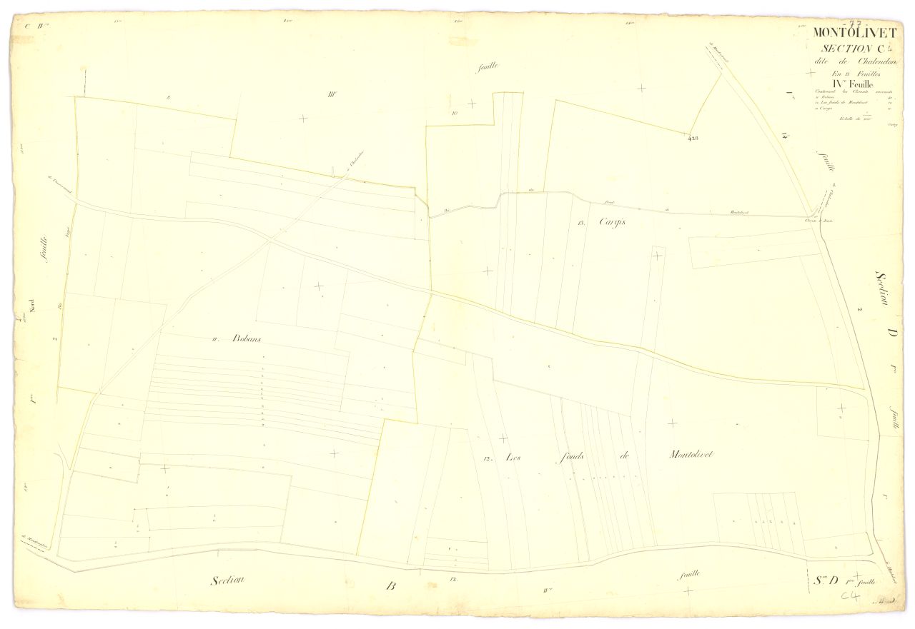 Section C4