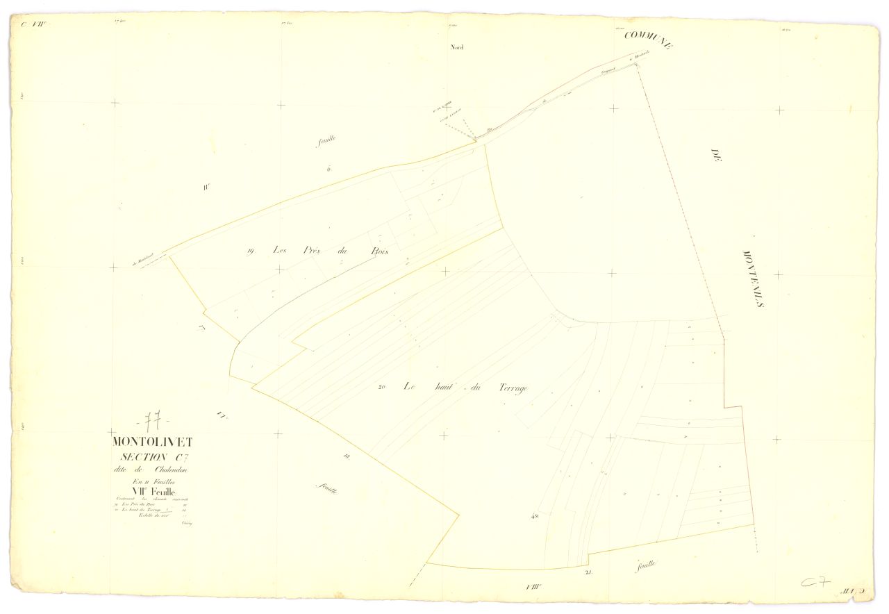 Section C7