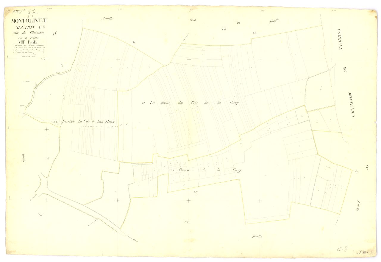 Section C8