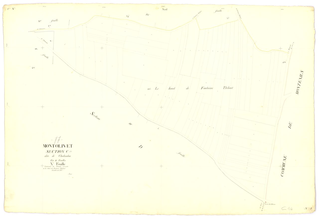 Section C10