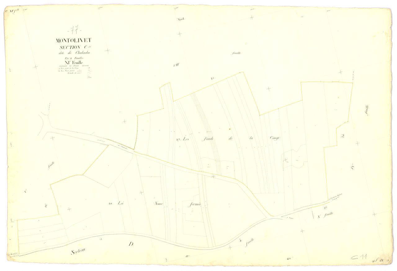 Section C11