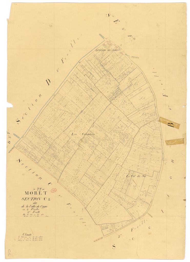 Section C dite de la Vall�e-du-Cygne, en 2 feuilles, 2eme feuille