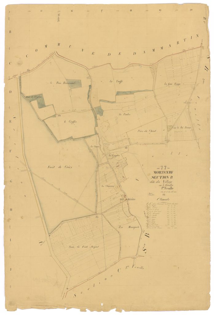 Section B1