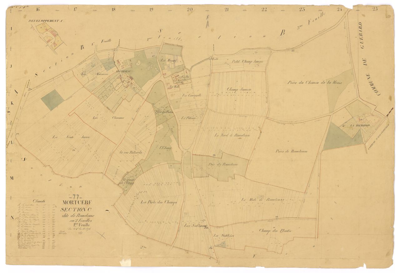 Section C1