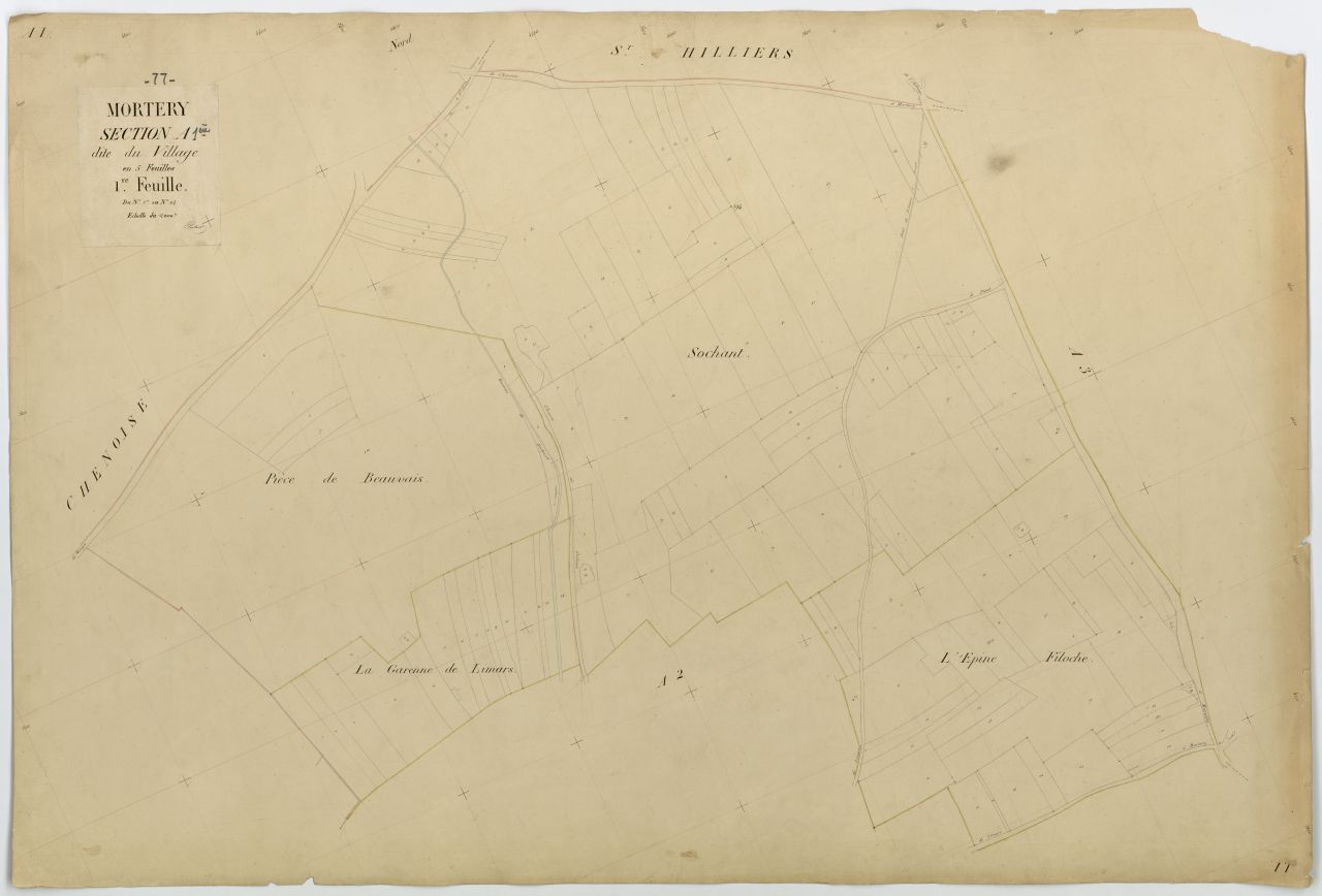 Section A1